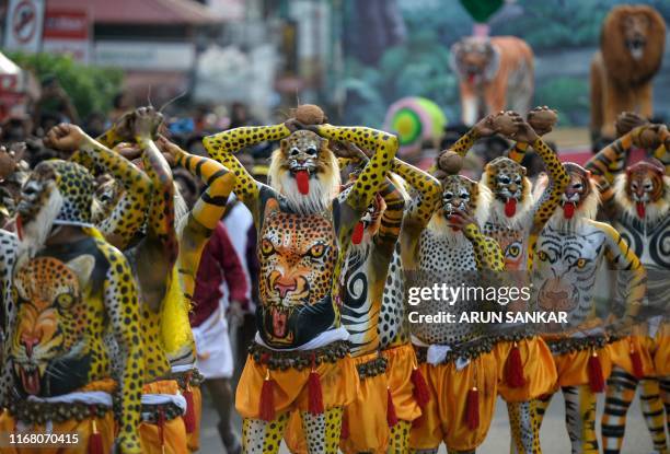 Performers adorning paintings of tigers on their bodies take part in the 'Pulikali' in Thrissur on September 14, 2019.