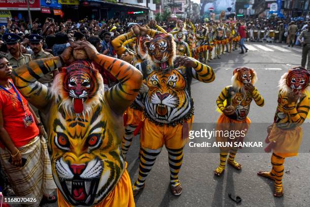 Performers adorning paintings of tigers on their bodies take part in the 'Pulikali' in Thrissur on September 14, 2019.