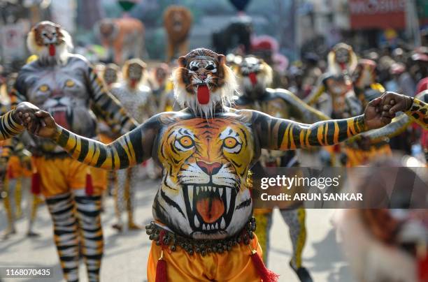 Performers adorning paintings of tigers on their bodies take part in the 'Pulikali' in Thrissur on September 14, 2019.