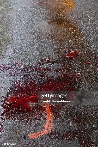blood in the road - gory car accident photos stock pictures, royalty-free photos & images