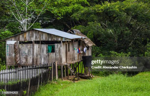 old decaying stilt house with colorful clothes drying on a rope in amazon rainforest - colombia jungle stock pictures, royalty-free photos & images