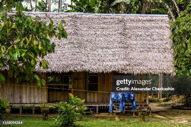 pair of jeans on a rope in front of thatched roof hut in amazon - colombia jungle stock pictures, royalty-free photos & images