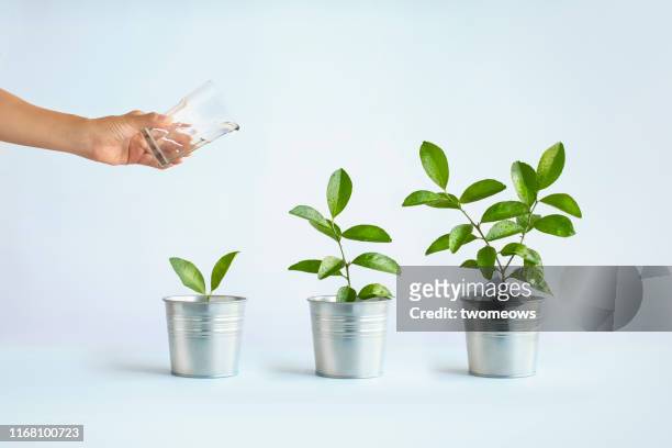 growth concept image. - plant growth stock pictures, royalty-free photos & images