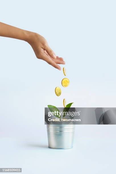 financial investment concept image. - watering pot stock pictures, royalty-free photos & images
