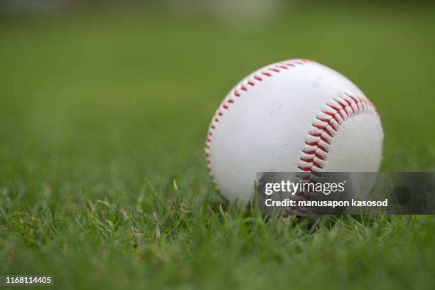 baseball ball on the green lawn - infield stockfoto's en -beelden