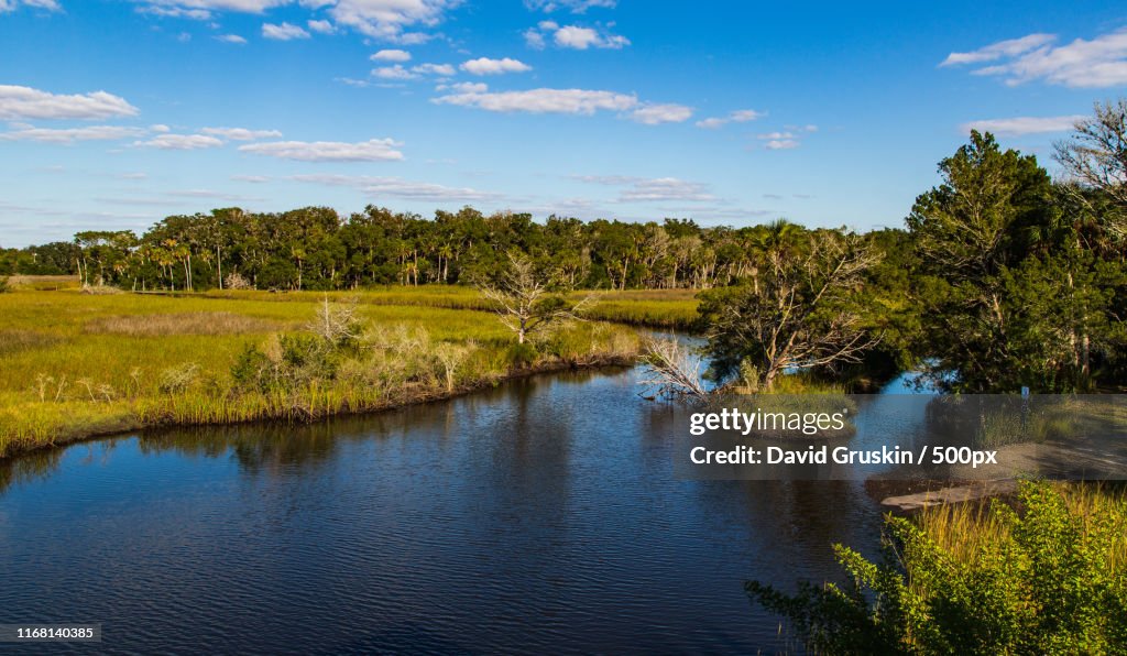 Who Doesn't Like Homasassa