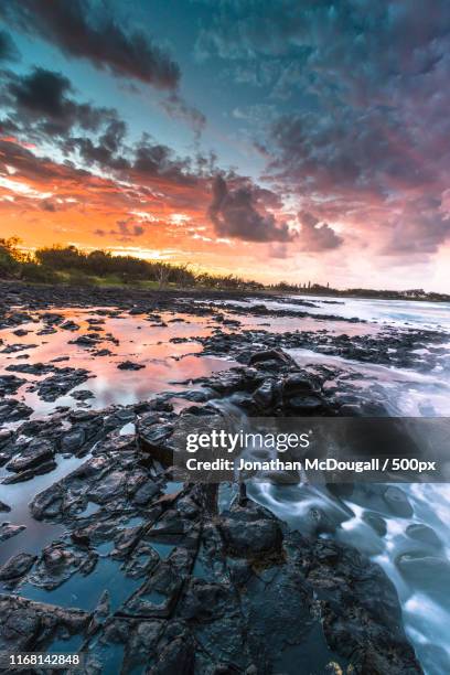 mon repos turtle conservation park at sunset - バンダバーグ ストックフォトと画像