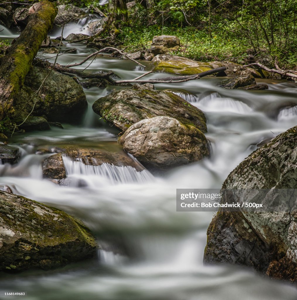 Anna Ruby Falls Scenic Area