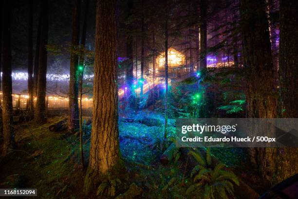 capilano bridge, bc - illuminated bridge stock pictures, royalty-free photos & images