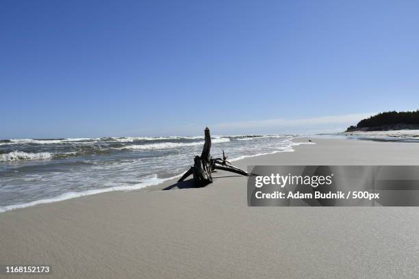 31 Wierzchucino Stock Photos, HighRes Pictures, and Images Getty Images