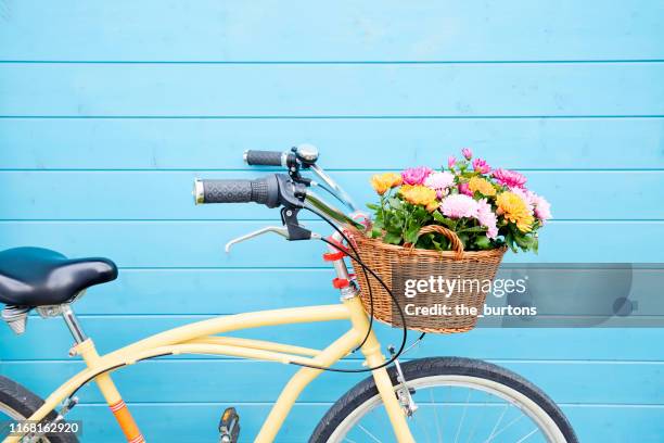 yellow beachcrusier bicycle with basket and colorful chrysanthemum flowers in front of blue painted wooden wall - bike flowers ストックフォトと画像