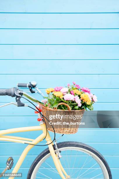 yellow beachcrusier bicycle with basket and colorful chrysanthemum flowers in front of blue painted wooden wall - mand stockfoto's en -beelden