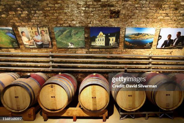 The Longest Night: Secrets Of The Austrian Cellar White Wine Cellar Photos and Premium High Res Pictures - Getty Images