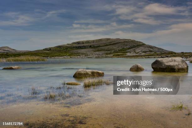 the burren in its summer clothing - clare stock pictures, royalty-free photos & images