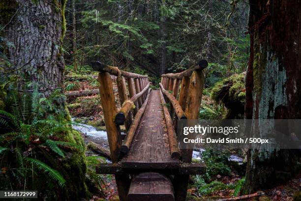salmon river footbridge - national forest stock pictures, royalty-free photos & images