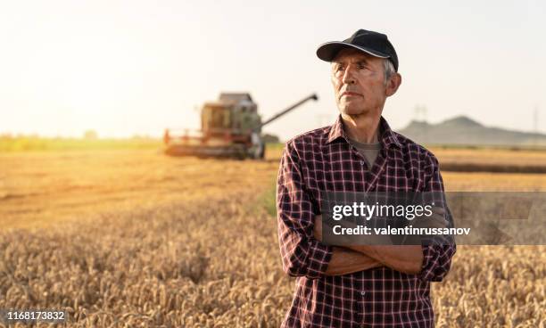 farmer controlled harvest in his field stock photo - field worker stock pictures, royalty-free photos & images