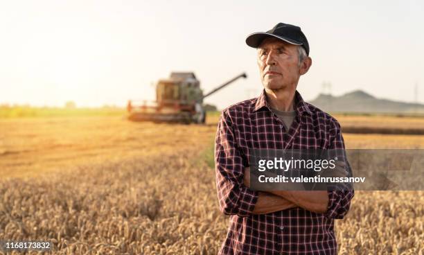 farmer controlled harvest in his field stock photo - country imagens e fotografias de stock
