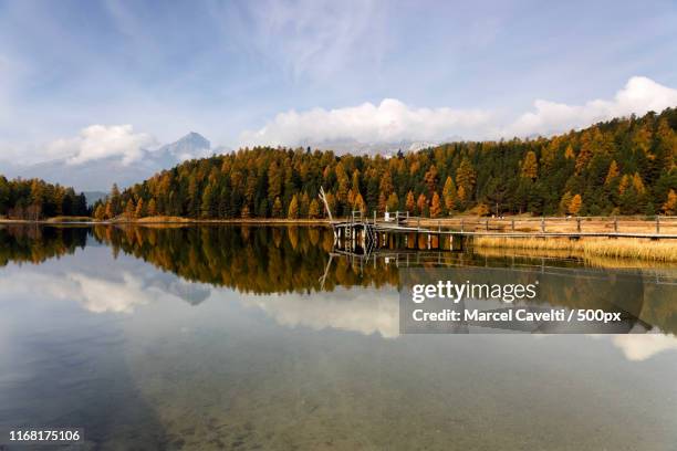 stazersee - engadin stock-fotos und bilder