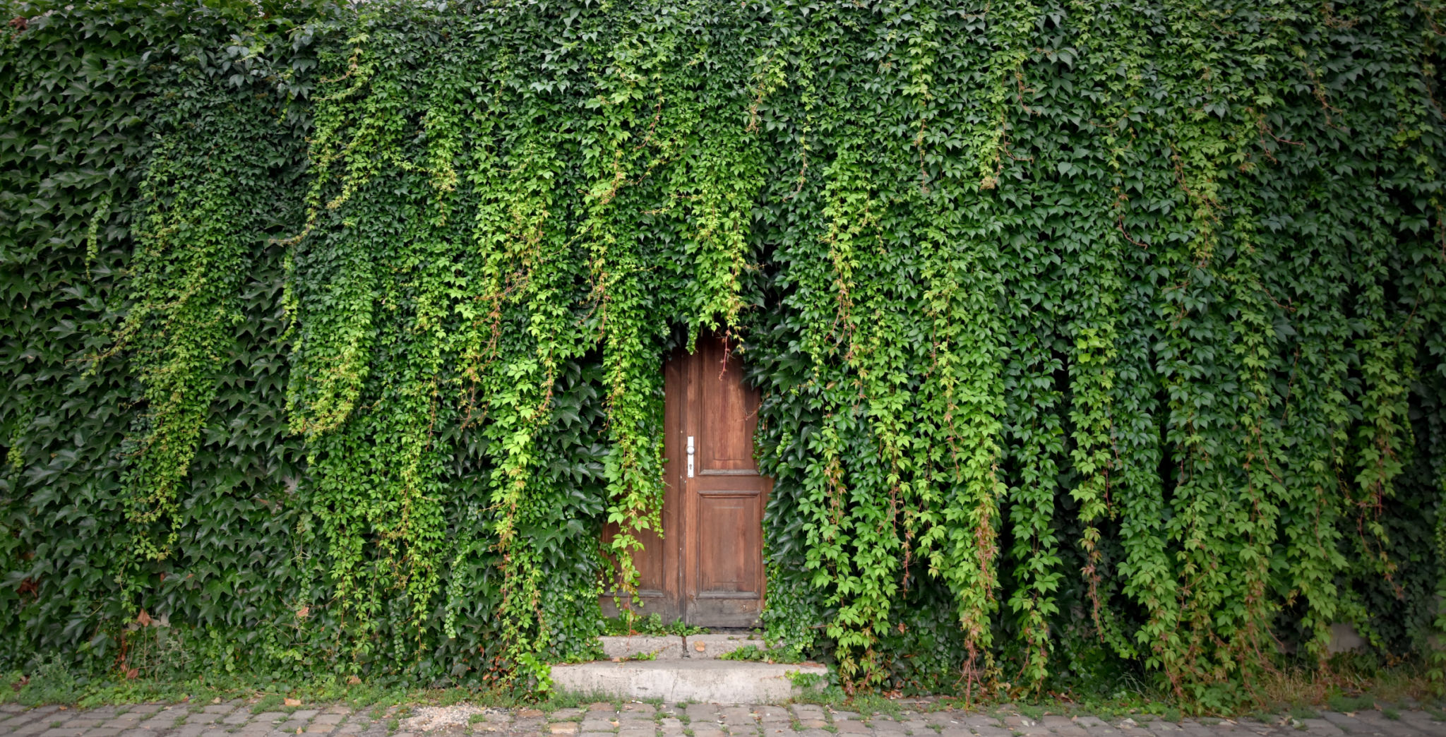 home garden privacy