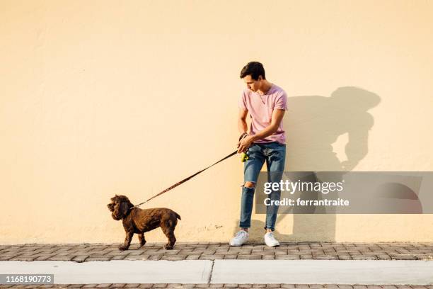 millenial boy walking his dog - leash stock pictures, royalty-free photos & images