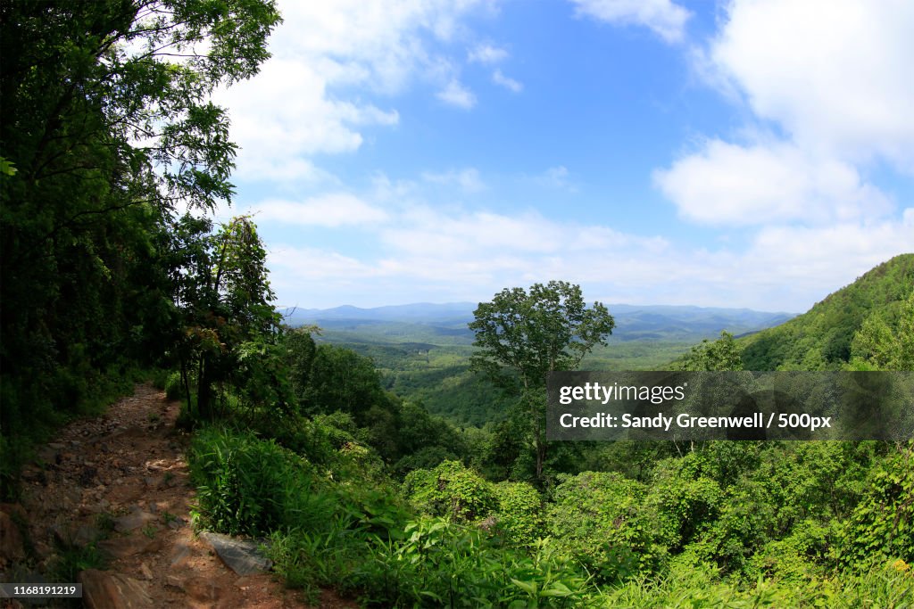 View Of The Mountains From The Top Of Amicalola Falls State Park