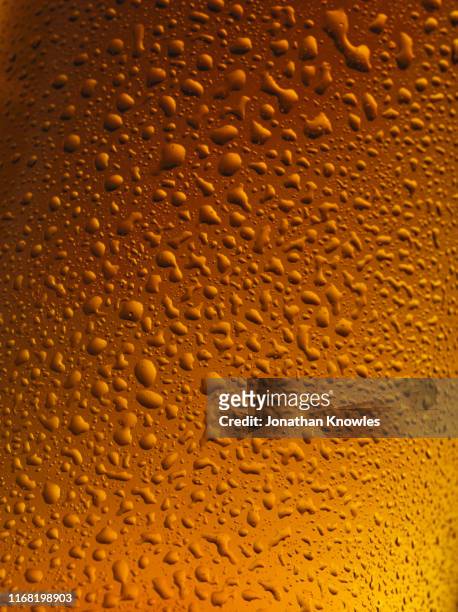 condensation on beer bottle - bottle condensation stock pictures, royalty-free photos & images