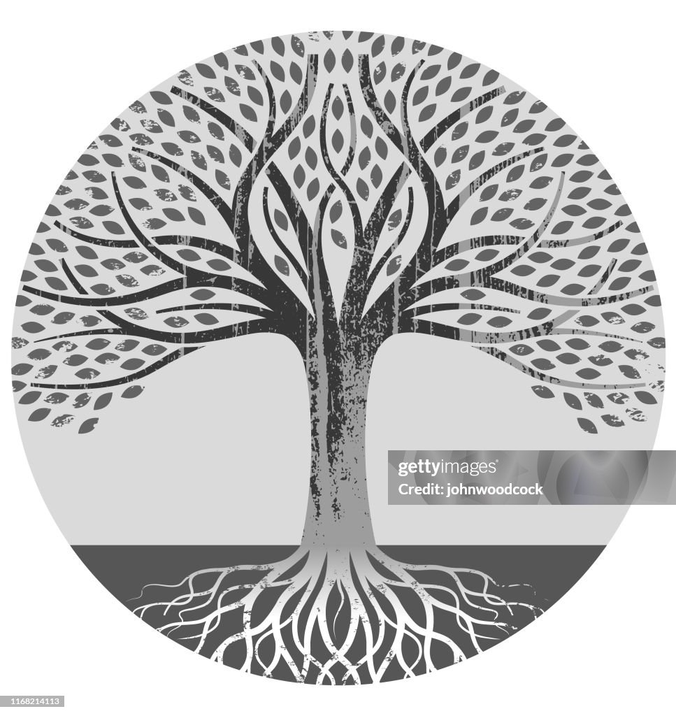 Mono Pattern Tree Circular Mono Tree Illustration High-Res Vector Graphic - Getty Images