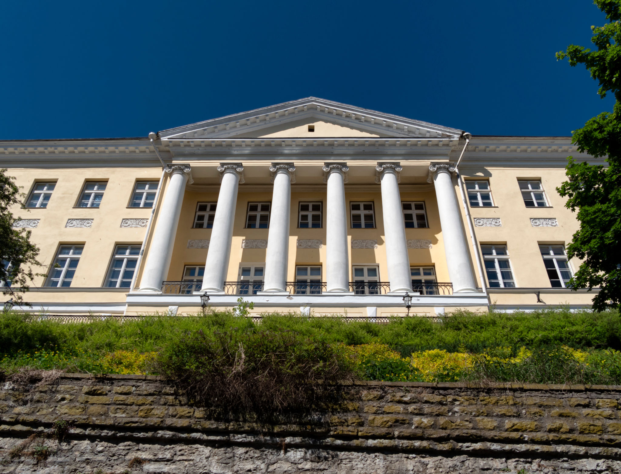 estonian cultural center