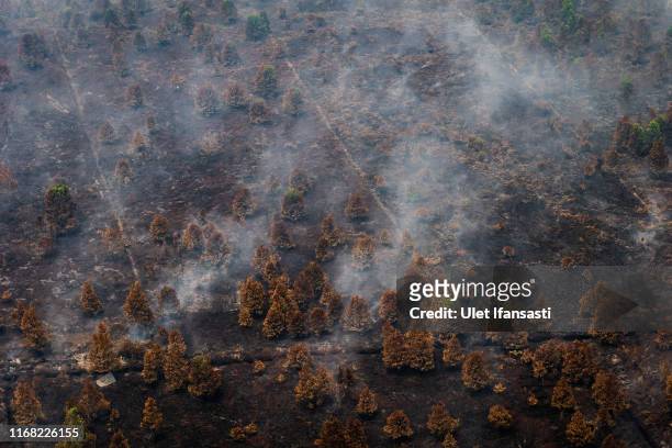 Aerial view of peatland and forest fires during fire patrol by Indonesian national board for disaster management on September 14, 2019 in Central...