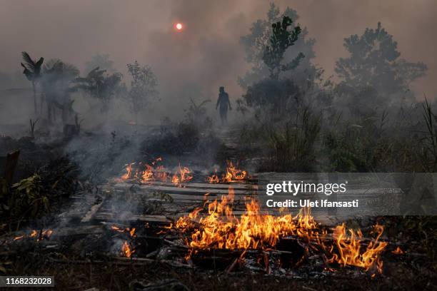 Firefighter walks through smog as try to extinguish the fire on burned peatland and fields on September 14, 2019 in Palangkaraya, Central Kalimantan,...