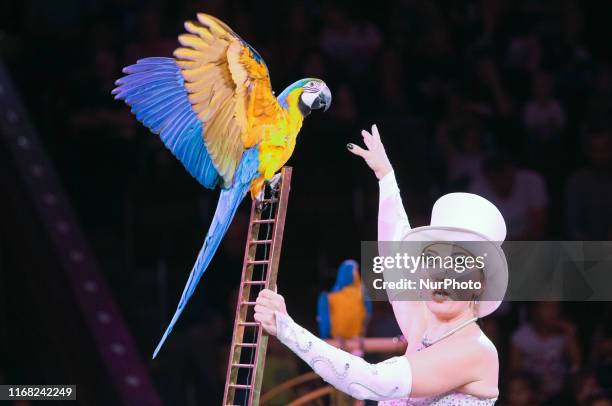 National Circus of Ukraine presents its new show in Kyiv, Ukraine, September 14, 2019