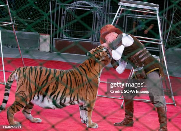 An artist kisses a tiger during the presentation of the new fantasy steampunk circus show 'Pendulum of Time' at the Ukrainian National Circus in...