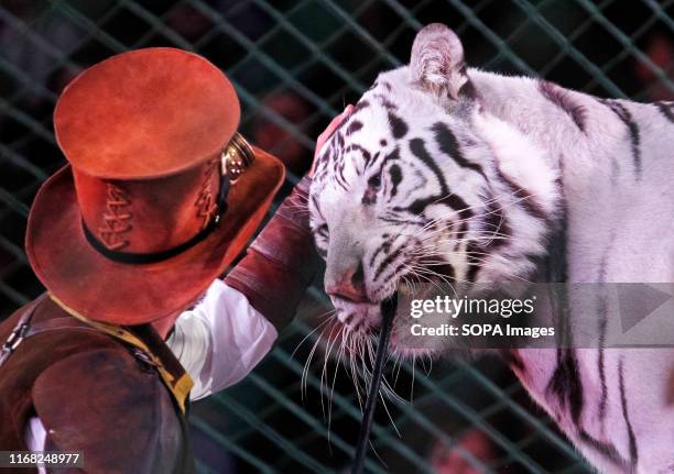 Artist performs with a tiger during the presentation of the new fantasy steampunk circus show 'Pendulum of Time' at the Ukrainian National Circus in...