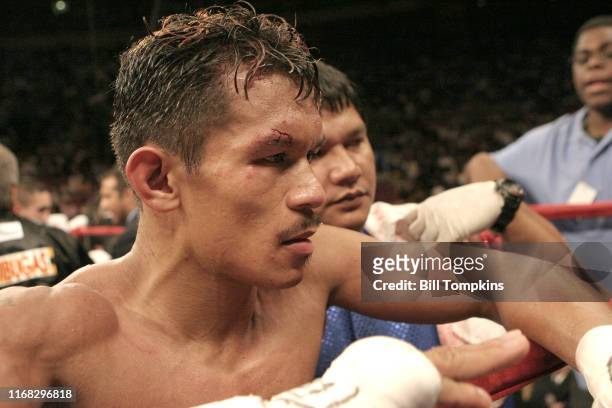 Humberto Soto defeats Bobby Pacquiao by KO in the 7th round in their Super Featherweight fight at Madison Square Garden on June 9, 2007 in New York...