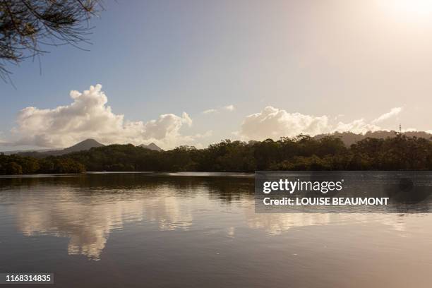 river, mangroves, mountains, clouds, sky - brunswick heads nsw stock pictures, royalty-free photos & images