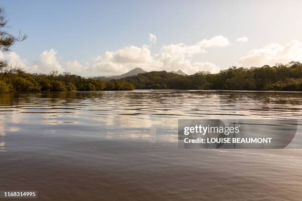 river, mangroves, mountains, clouds, sky - brunswick heads nsw stock pictures, royalty-free photos & images