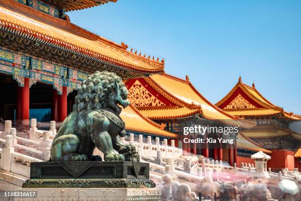 中國北京故宮建筑前的石獅子 - forbidden city fotografías e imágenes de stock