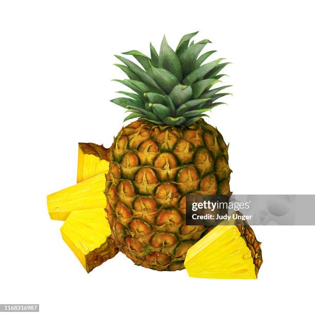 ilustraciones, imágenes clip art, dibujos animados e iconos de stock de pineapple with 4 wedges - piña