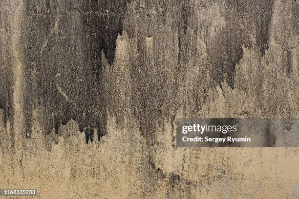 grunge concrete wall background - building damage stockfoto's en -beelden