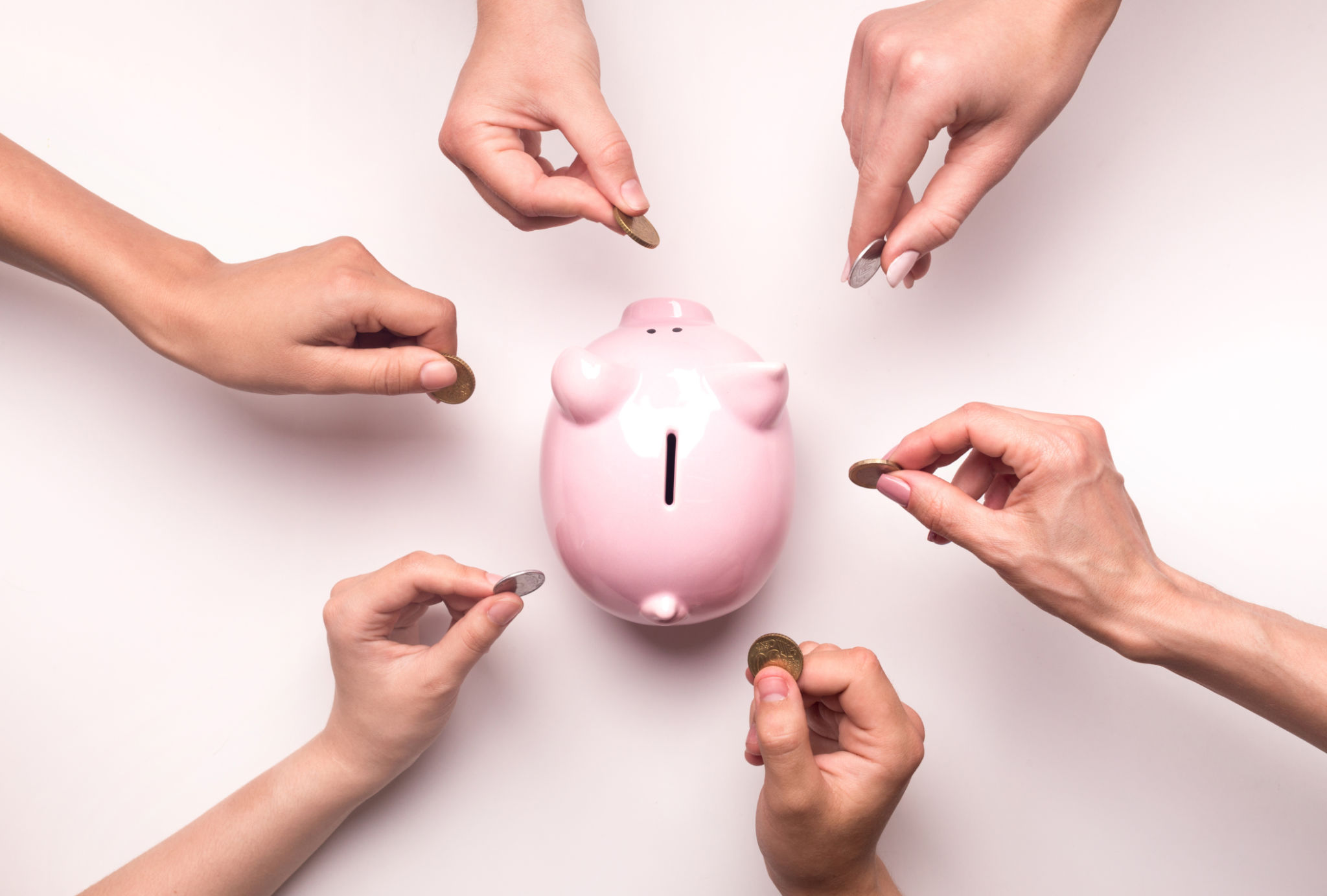 crowdfunding platform