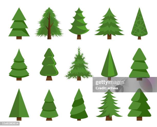 ilustraciones, imágenes clip art, dibujos animados e iconos de stock de ilustración de stock de vectores de árboles de navidad - árbol de hoja perenne