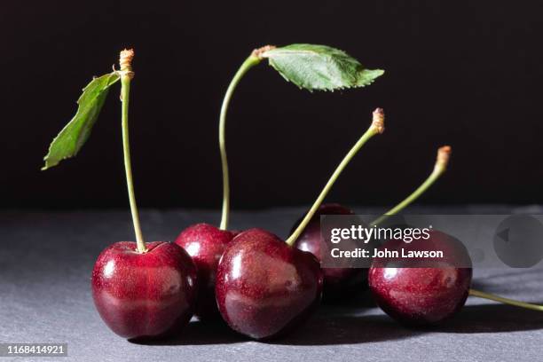 chiaroscuro still life study - cherries - black cherries stock-fotos und bilder