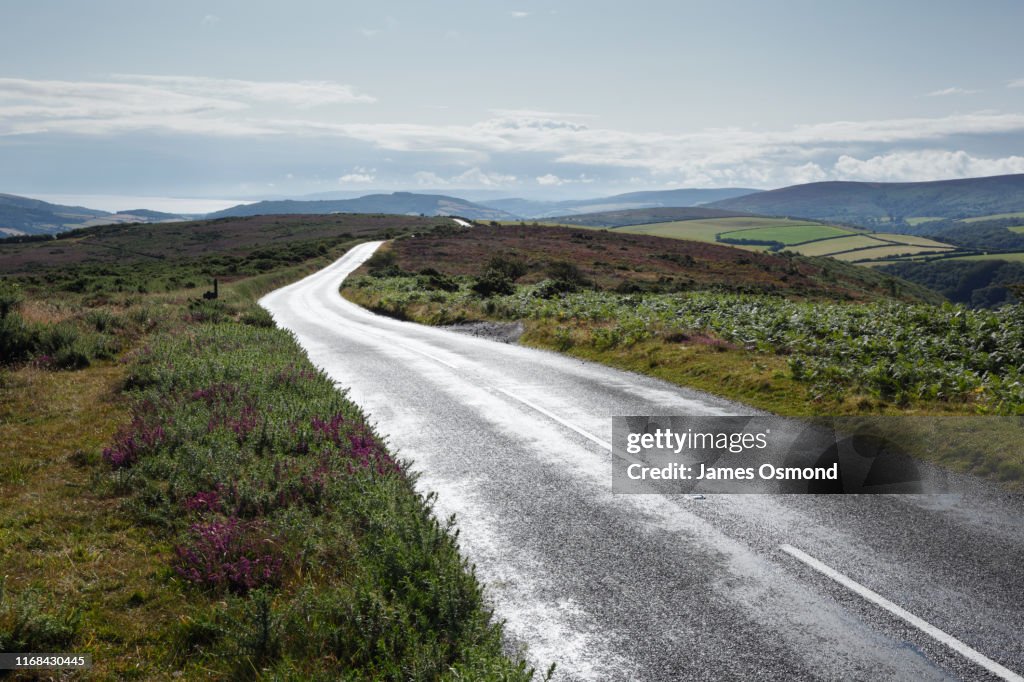 Empty road winding across moorland.