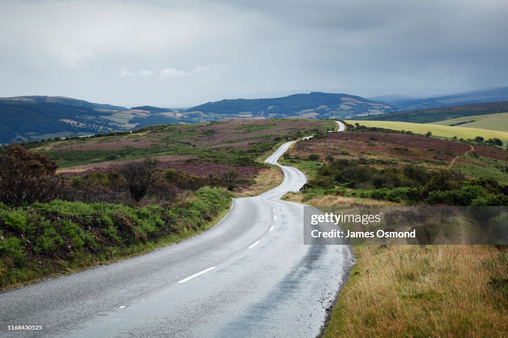 Empty road winding across moorland.
