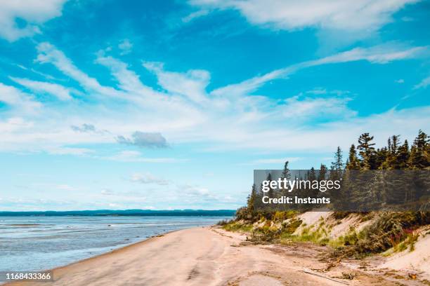 ein blick auf den strand von pointe aux outardes, was die bustard bay bedeutet, befindet sich auf der halbinsel céte-nord manicouagan. - naturpark stock-fotos und bilder