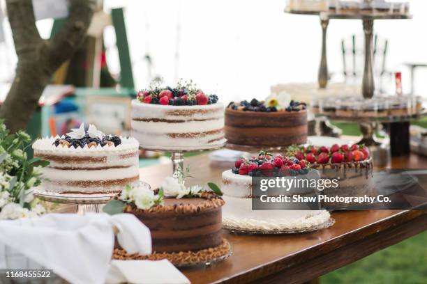 dessert table of mixed chocolate cake and berry cakes at a smaller wedding celebration in a backyard in sumer july - dinner reception for the wedding of lee radziwill and herb ross stockfoto's en -beelden