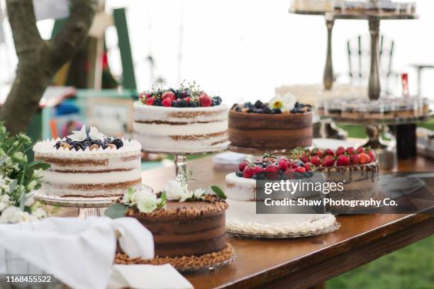 dessert table of mixed chocolate cake and berry cakes at a smaller wedding celebration in a backyard in sumer july - cake table stock pictures, royalty-free photos & images