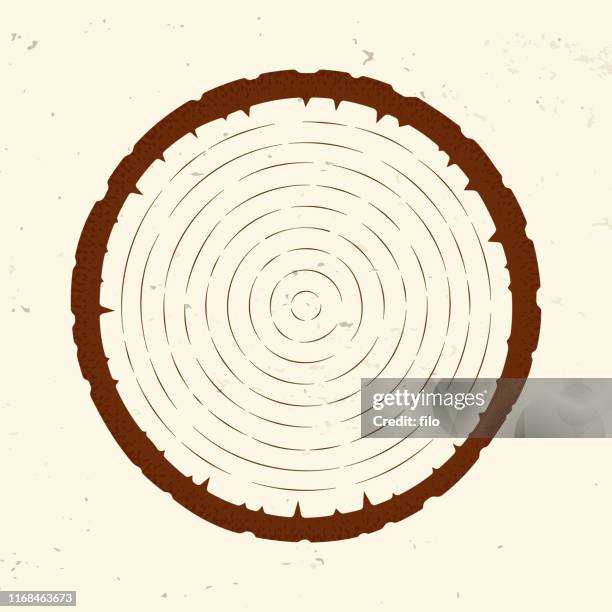 baum ring scheibe - holzstamm stock-grafiken, -clipart, -cartoons und -symbole