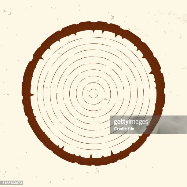 tree ring slice - tree rings stock illustrations