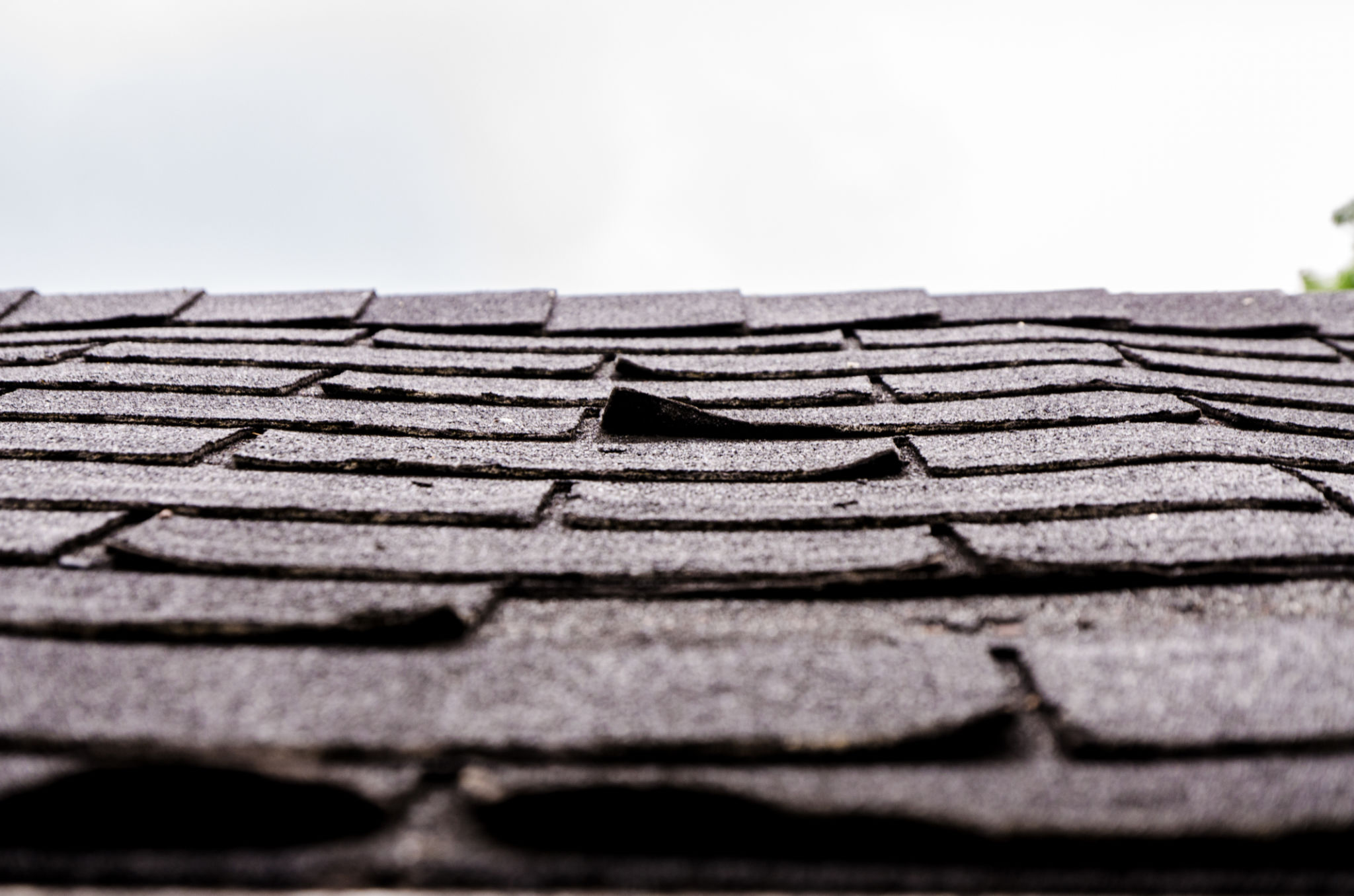 damaged shingles